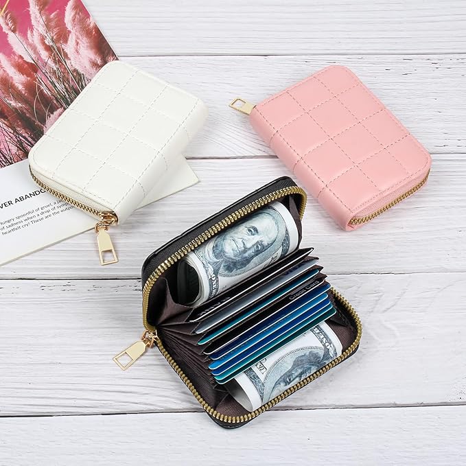 EcoVision Credit Card Holder RFID Card Case Wallet, Small Accordion Zipper Card Case Holder, Card Organizer Case for Women Men