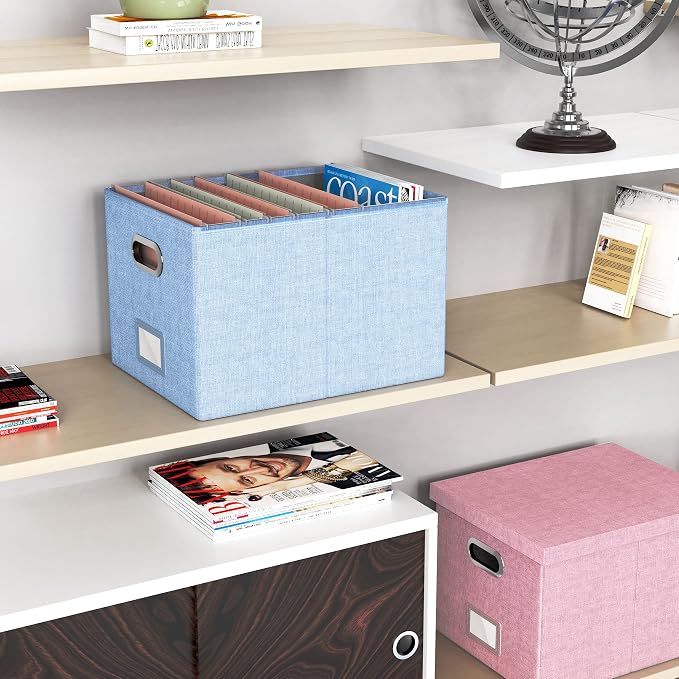 Oterri 2 Pack File Storage Organizer, Filing Box, Portable File Box with Lid, Fit for Letter/Legal File Folder Storage, Document Organizer, Sky-blue
