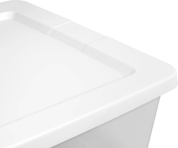 41 Quart Clear Storage Box with White Snap-On Lid, Plastic Storage Bin