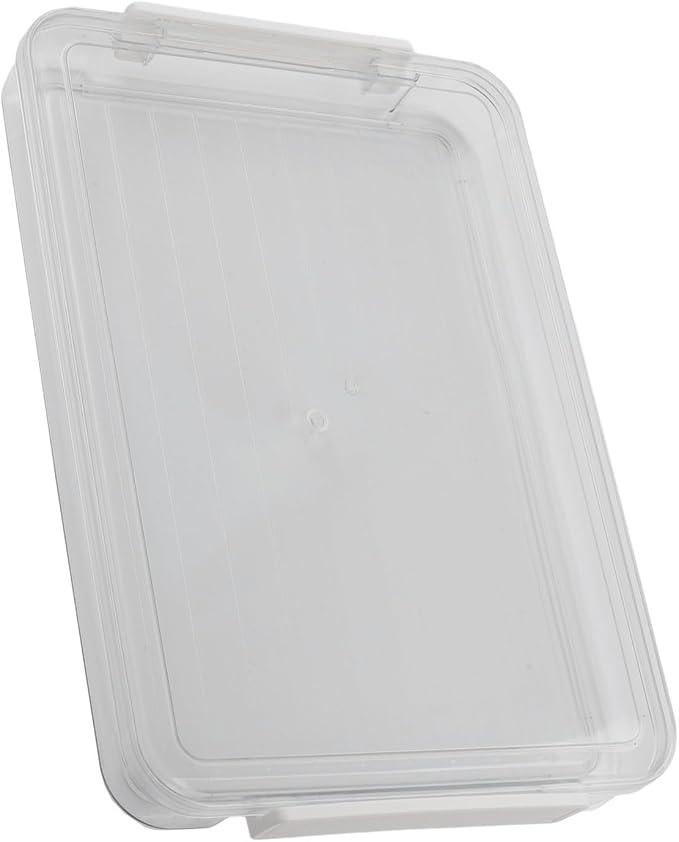 Clear File Organizer With Lid, Home Office Organization Bin, Large Capacity File Box(small)