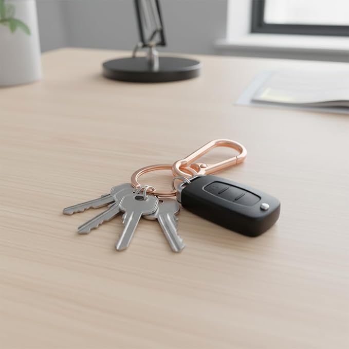 Metal Key Chain Sturdy Keyring Clip Holder for Car and Home Keys, Keychains For Men and Women 4 Pack DIY
