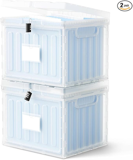 Oterri Plastic File Box with Lid for Letter Size Hanging File Folders, Hanging File Folder Box for Home, Office, School, File Cabinet, Assembly File Organizer, Clear，Large-2 Pack Without Folders