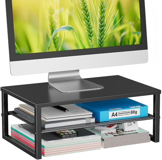 Ekisemio 2-Tier Computer Monitor Stand Riser, Desk Organizer for Monitor, Black
