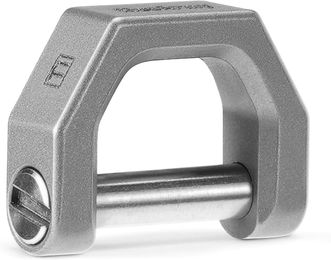 MecArmy CH2 Titanium D Ring Key Holder, Secure Screw-Lock D-Shaped Keychain for Car Key Fobs & EDC Gear, Heavy-Duty Carabiner Alternative (Sandblasted, Small)