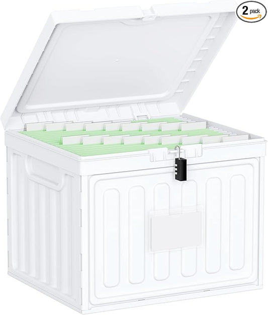 Oterri Plastic File Box with Lid for Letter Size Hanging File Folders, Hanging File Folder Box for Home, Office, School, File Cabinet, White, Large-1 Pack Without Folders