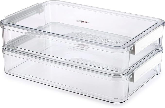 BTSKY 2 Pack Plastic Storage Containers with Lids, Portable Project Case Document Organizer Stackable Plastic File Storage Box for A4 File Paper Documents Scrapbook Art Supplies&Crafts(Big, White)