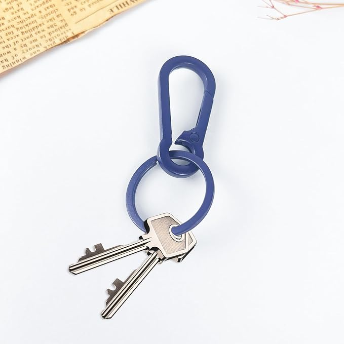 Metal Keychains for Women Men, Key Chain Ring Clip Holder Organizer for Home Car, Cut Keyring Accessories