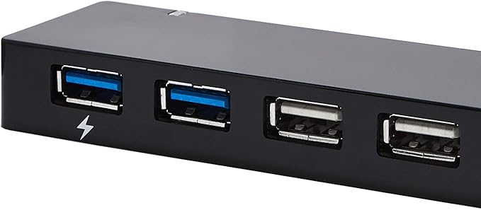 Amazon Basics USB 3.0 10-Port Hub with AC Adapter, 5Gbps Faster Data Transfer for Multiple Devices, Black