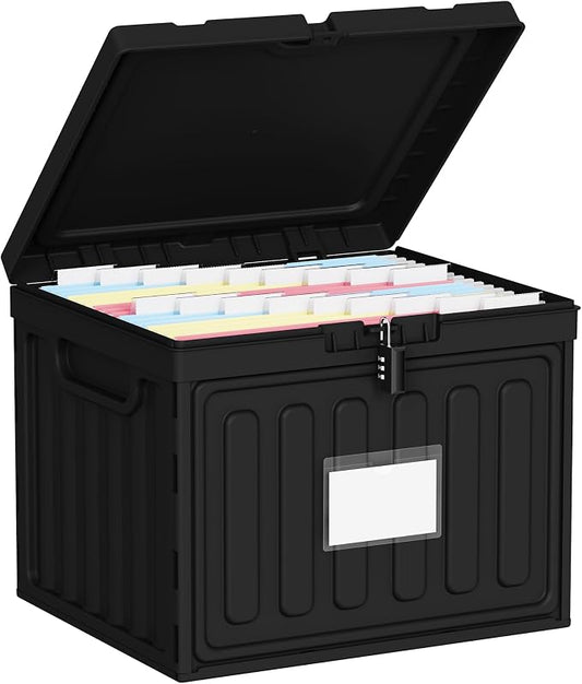 Oterri Plastic File Box with Lid for Letter Size Hanging File Folders, Hanging File Folder Box for Home, Office, School, File Cabinet (Black, Large-1 Pack Without Folders)