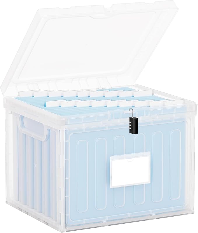 Oterri Plastic File Box with Lid for Letter Size Hanging File Folders, Hanging File Folder Box for Home, Office, School, File Cabinet (Clear, Large-1 Pack Without Folders)