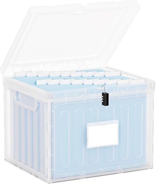 Oterri Plastic File Box with Lid for Letter Size Hanging File Folders, Hanging File Folder Box for Home, Office, School, File Cabinet (Clear, Large-1 Pack Without Folders)