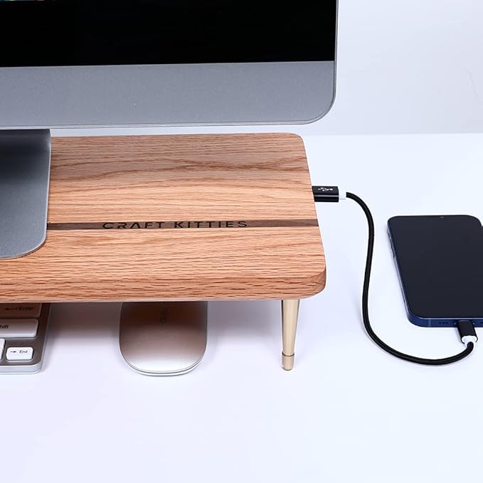 Wood Riser Monitor Stand with USB Ports Computer Stand w/Slot for Tablet & Cellphone Computer Riser w/Big Storage, Dual Monitor Riser for PC, Computer, Laptop, Printer