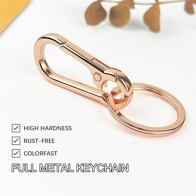 Metal Keychains for Women Men, Key Chain Ring Clip Holder Organizer for Home Car, Cut Keyring Accessories