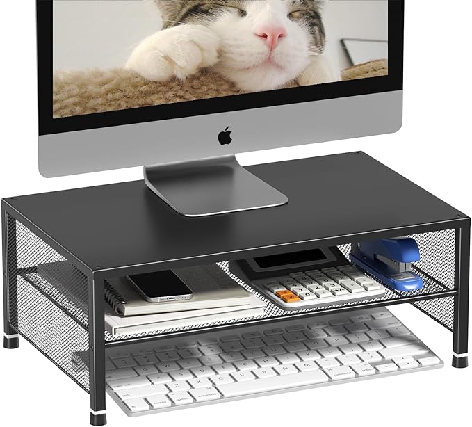 ECOLOVI 2-Tier Computer Monitor Stand Riser, Desk Organizer for Monitor, Printer & Laptop Stand, Desktop Workspace Organizers for Office Supplies(Black)
