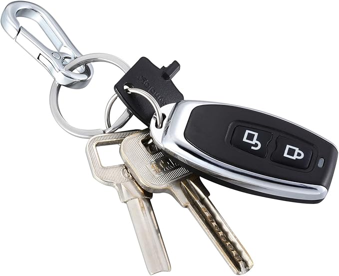 Mudder 4 Pack Metal Carabiner Clip Keychain Keyring Key Ring Chain Holder Organizer for Tile Key Finder Car Men and Women