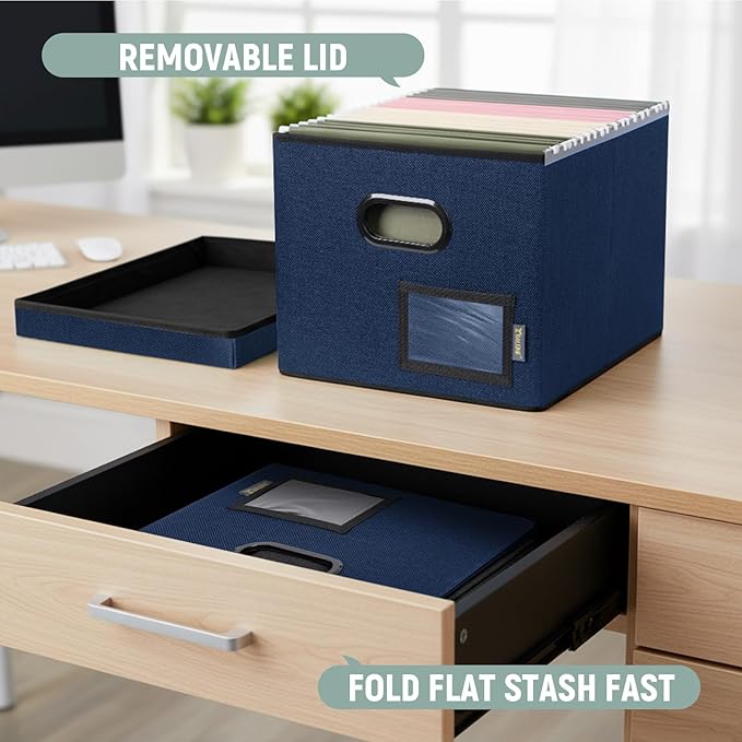 BALEINE File Organizer Box with Lid, Collapsible File Folder Organizer with Plastic Slide, Filing Box for Office Home Document Organizer Storage (Blue, 2PK)