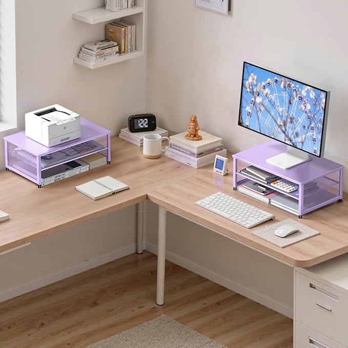 ECOLOVI 2-Tier Computer Monitor Stand Riser, Desk Organizer for Monitor, Printer & Laptop Stand, Desktop Workspace Organizers for Office Supplies(Purple)