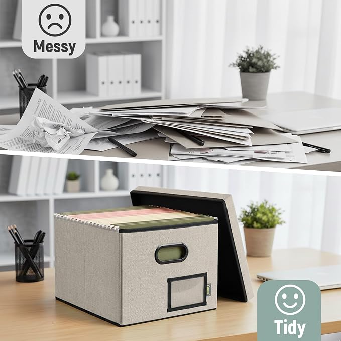 BALEINE File Organizer Box with Lid, Collapsible File Folder Organizer with Plastic Slide, Filing Box for Office Home Document Organizer Storage (Beige, 4PK)