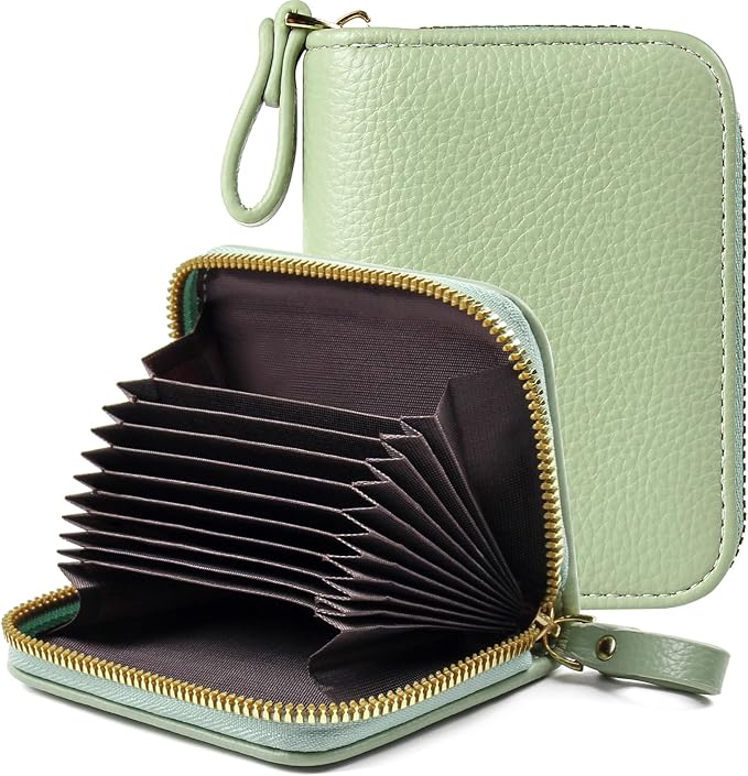 EcoVision Credit Card Holder RFID Card Case Wallet, Small Accordion Zipper Card Case Holder, Card Organizer Case for Women Men