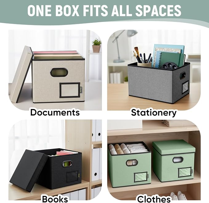 BALEINE File Organizer Box with Lid, Collapsible File Folder Organizer with Plastic Slide, Filing Box for Office Home Document Organizer Storage (Black, 4PK)