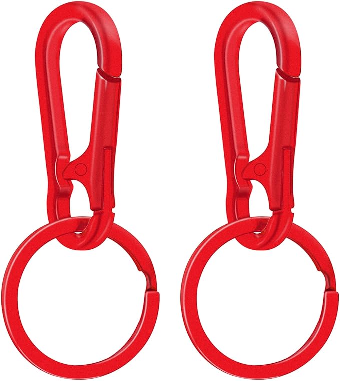Metal Keychains for Women Men, Key Chain Ring Clip Holder Organizer for Home Car, Cut Keyring Accessories