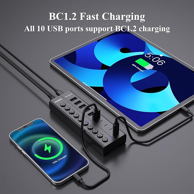 FIDECO 60W Powered USB Hub for Laptop and PC, 10-Port 10Gbps USB Splitter with 12V 5A Power Adapter, Aluminum USB 3.2 Gen 2 Multiport Adapter, 6 USB-A and 4 USB-C Ports, Support BC1.2 Charging (Black)