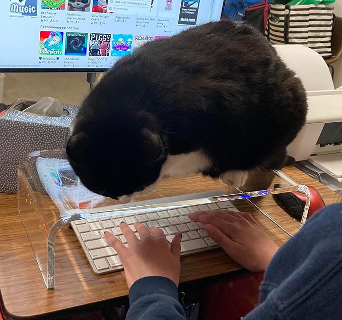 Acrylic Monitor Stand Riser Anti-Cat Laptop Cover Protector, Crystal Clear Laptop Stand, 16 inch Computer Monitor Riser for Home Office