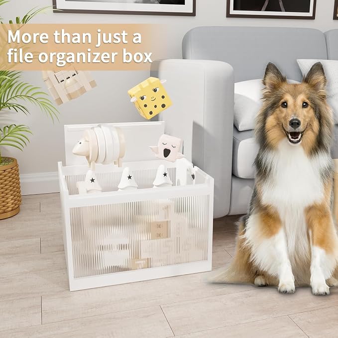 Bamboo Hanging File Boxes with Lids 2 Pack, File Organizer Box for Letter/Legal File, File Box with Hanging Folders Acrylic Light Easy Assembly File Storage Boxes for Office Home, White