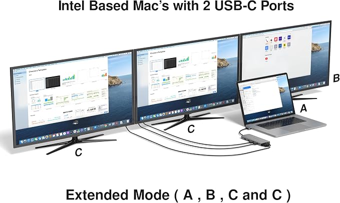 USB C Hub 13 in 2 with 2 HDMI 4K, VGA, 1GBS Ethernet, 2USB A 3.0 Ports, 2 USB A 2.0 Ports, SD/Mico SD and Audio Port for Work and Travel - for MacBook Pro & Air