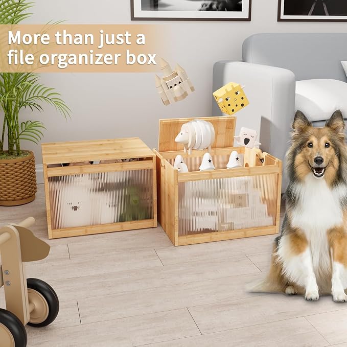 Bamboo Hanging File Boxes with Lids 2 Pack, File Organizer Box for Letter/Legal File, File Box with Hanging Folders Acrylic Light Easy Assembly File Storage Boxes for Office Home, Natural