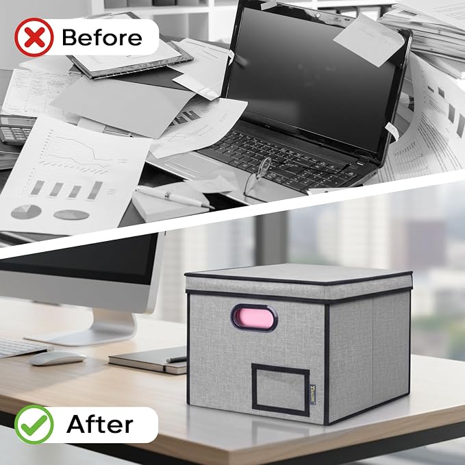 BALEINE File Organizer Box with Lid, Collapsible File Folder Organizer with Plastic Slide, Hanging File Folder Box for Office Document Storage (Tab Friendly, 2 Pack, Grey)