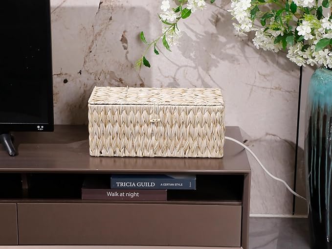 Coeusy Cable Management Box,Boho Decorative Handwoven 2 Open Slots Cord Organizer Hider Box with Lid for TV Wires, Computer, Router, USB Hub and Under Desk Power Strip