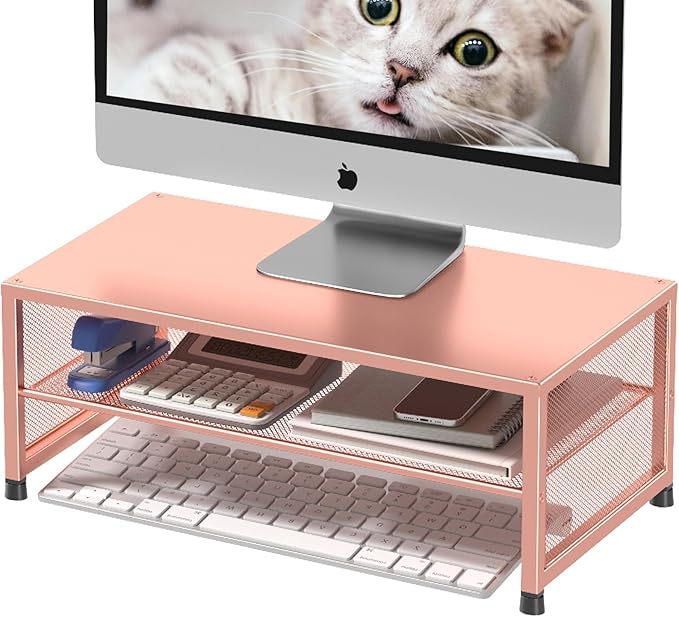 ECOLOVI 2-Tier Computer Monitor Stand Riser, Desk Organizer for Monitor, Printer & Laptop Stand, Desktop Workspace Organizers for Office Supplies(Rose Gold)