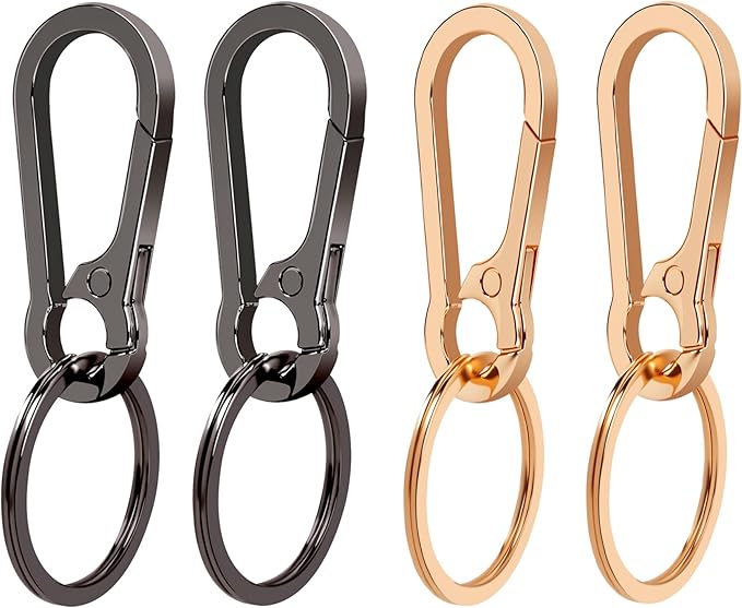 4Pcs Keychain for Car Keys, Metal Key Chain Carabiner for Keys, Key Chain Holder Clip Key Organizer Key Ring