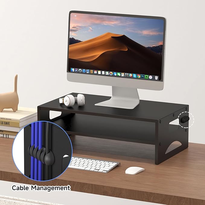 Pholiten Monitor Stand Riser, Desktop Stand, Computer Stand, Ergonomic Design, Two-Level Design, Desktop Organization, Keyboard Smartphone Storage, Printer Stand, Display Stand, 16.5 x 9.3 x 5.6
