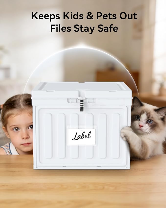 Oterri Plastic File Box with Lid for Letter Size Hanging File Folders, Hanging File Folder Box for Home, Office, School, File Cabinet, White, Large-1 Pack Without Folders