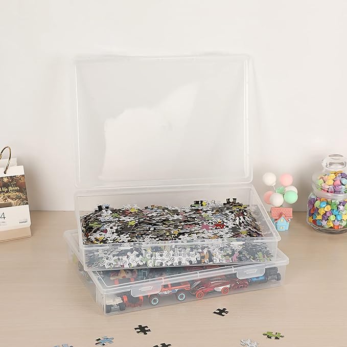 BTSKY Clear Plastic Storage Box with Flap Lid, Multipurpose Craft Organizers and Storage Box Art Supply Storage Organizer Plastic Sewing Box for Pencils Markers Notebooks A4 Files, 2 Pack Large