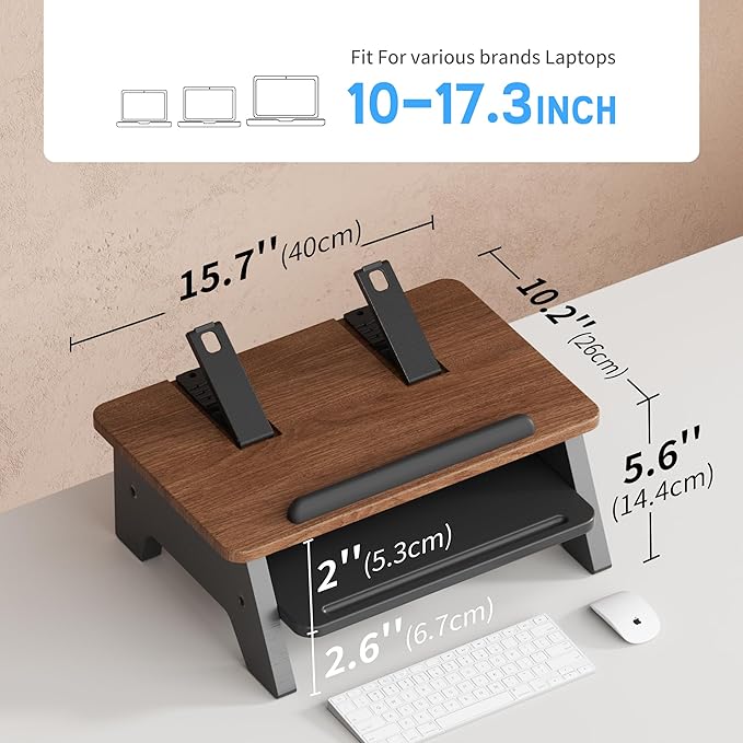 2-Tier Laptop Stand,Adjustable Riser,Desk Organizer Accessories Ventilated Cooling Ergonomic Computer Holder 10-15.6" Notebook,Desktop Storage Compatible with MacBook,Dell,HP,Lenovo
