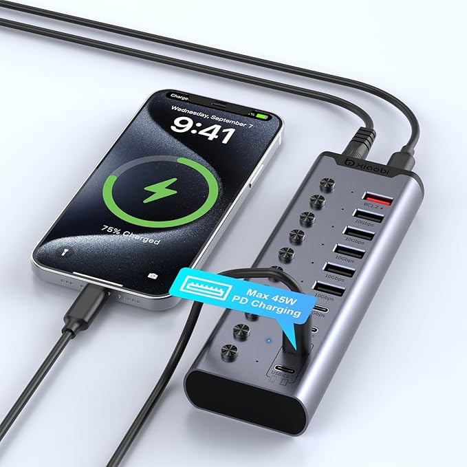 Powered USB Hub, 10-Port USB C Hub with 6*USB-A 3.2, 2*USB-C 3.2 and 2*PD 45W Charging Ports Individual Switches and 24V/3A Power Adapter, USB Extension for MacBook, PC and More.