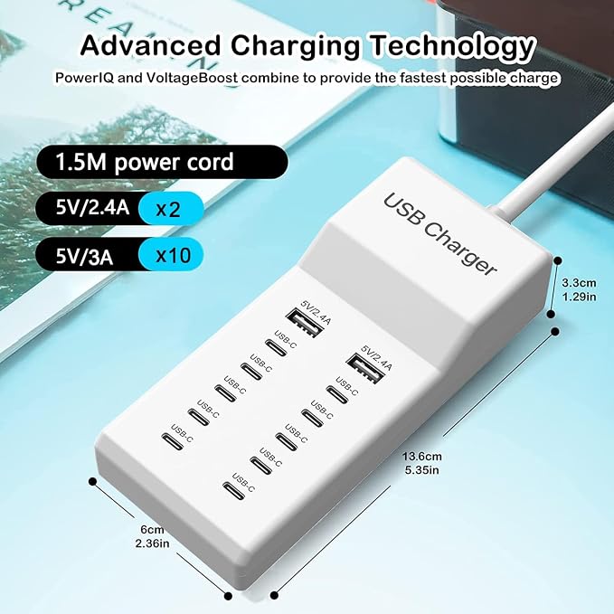 USB C Charger, 12 Ports USB Charging Station, 60W MultiPort Charger[10 USBC+2 USBA], Compatible with iPhone/iPad/Samsung/Google Pixel/Watch/Headphones