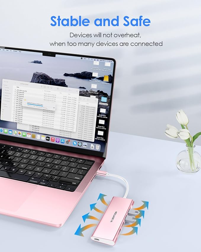 LENTION 5-in-1 USB-C Hub, 4 USB3.0, 60W Charging, Multiport Adapter | Ideal for Work & Study, Stable Driver 3.0 Certified, Compatible with macOS, iOS/iPadOS, Windows & ChromeOS (C31, Rose Gold)
