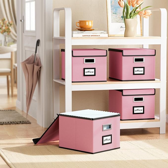 File Organizer Box with Lid, Collapsible File Folder Organizer for Office Document Storage, Filing Box with Plastic Slide for Letter Size Hanging File Folders(1 Pack, Pink)