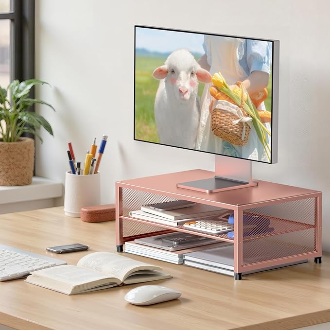 ECOLOVI 2-Tier Computer Monitor Stand Riser, Desk Organizer for Monitor, Printer & Laptop Stand, Desktop Workspace Organizers for Office Supplies(Rose Gold)