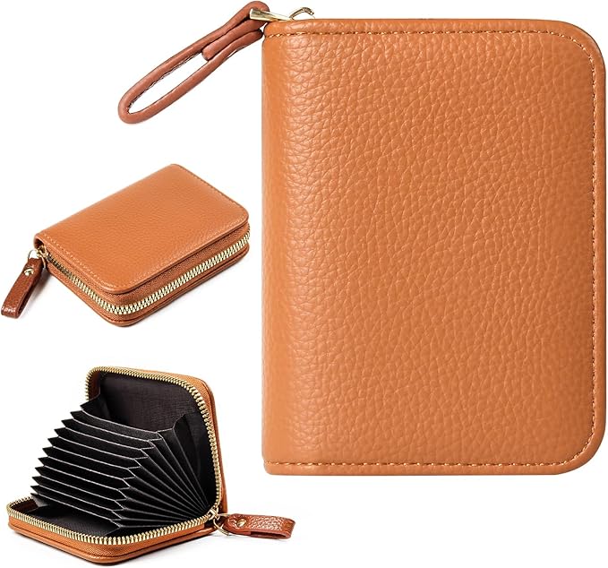 EcoVision Credit Card Holder RFID Card Case Wallet, Small Accordion Zipper Card Case Holder, Card Organizer Case for Women Men