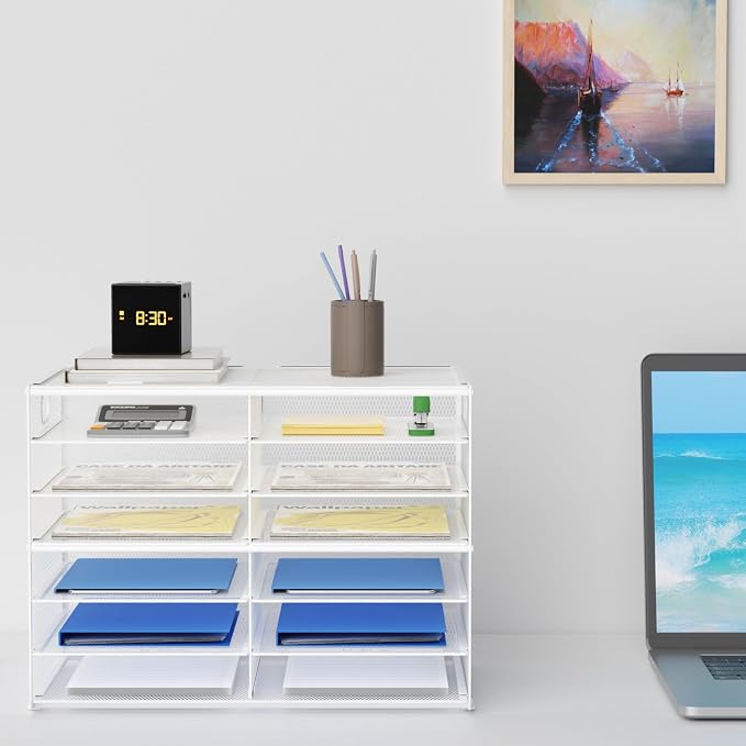 Lavatino 12 Compartments Paper Organizer for Desk, Mesh Literature Organizer, Mail File Sorter Tray with Handle, Desktop Mailbox for Office Classroom Home - White