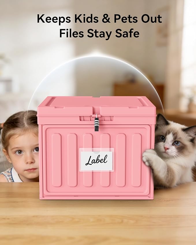 Oterri Plastic File Box with Lid for Letter Size Hanging File Folders, Hanging File Folder Box for Home, Office, School, File Cabinet, Assembly File Organizer, Pink，Large-2 Pack Without Folders