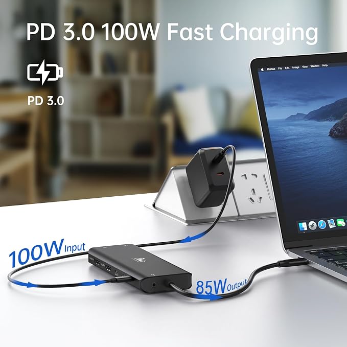 LIONWEI Laptop Docking Station 13 in 1 - Dual HDMI+DisplayPort+10Gbps, 6 USB C/A, 100W PD, Ethernet, SD/TF, Audio, USB C Hub for MacBook/Dell/HP/Surface, Black