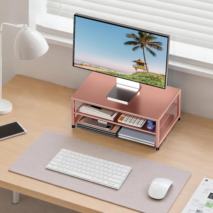 ECOLOVI 2-Tier Computer Monitor Stand Riser, Desk Organizer for Monitor, Printer & Laptop Stand, Desktop Workspace Organizers for Office Supplies(Rose Gold)