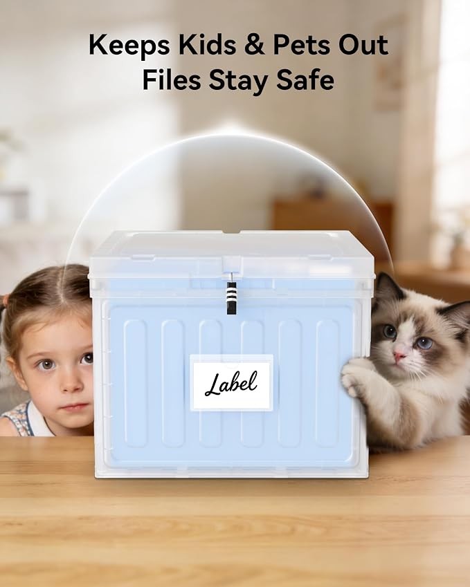 Oterri Plastic File Box with Lid for Letter Size Hanging File Folders, Hanging File Folder Box for Home, Office, School, File Cabinet (Clear, Large-1 Pack Without Folders)
