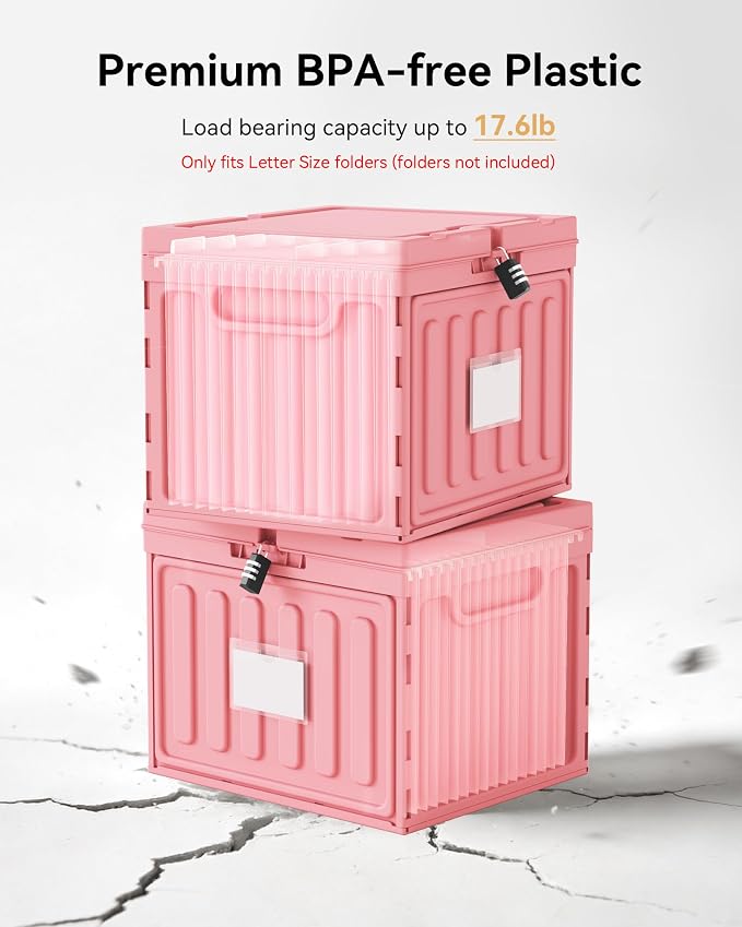 Oterri Plastic File Box with Lid for Letter Size Hanging File Folders, Hanging File Folder Box for Home, Office, School, File Cabinet, Assembly File Organizer, Pink，Large-1 Pack Without Folders